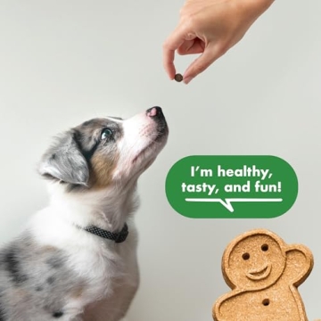 Transform Your Dog's Training with Buddy Biscuits Treats