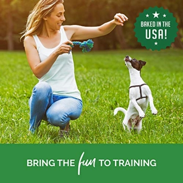 Transform Your Dog's Training with Buddy Biscuits Treats