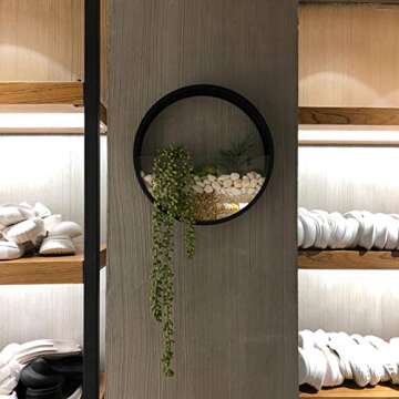VEVLU 3 Pack Set Wall Planters,Modern Round Glass Wall Planter Succulent Planter Circle Iron Hanging Planter Vase for Herb,Small Cactus Perfect for Balcony, Room and Patio Decor (Black)