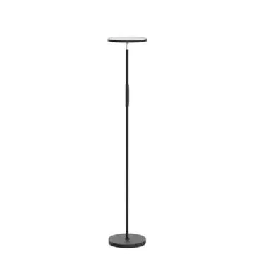 LED Floor Lamp with Remote Control and Dimming Options