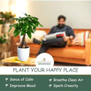 Pixies Gardens (1 Gallon) Snow Flake Oakleaf Hydrangea - Gorgeous Native Hydrangea with Stunning Whi...