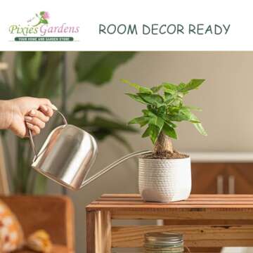 Pixies Gardens Snow Flake Oakleaf Hydrangea - Beautiful Blooms