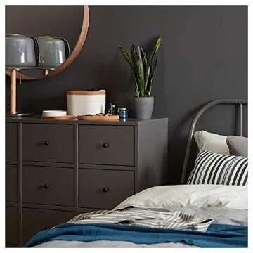 SAXBORGA Storage box with mirror lid, plastic cork, 24x17 cm for home & office use. Interior organis...