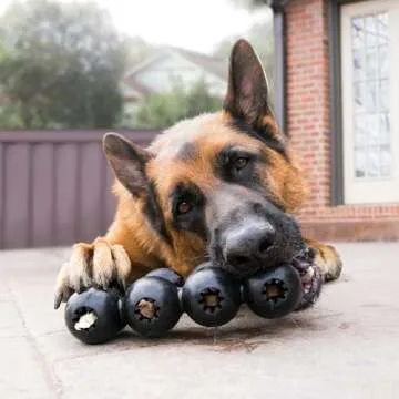 KONG Extreme Goodie Ribbon Durable Dog Chew Toy