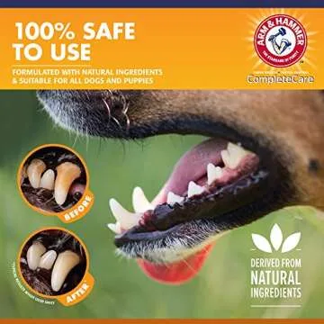 Arm & Hammer Enzymatic Dog Toothpaste 6.2oz Peanut Butter Flavor
