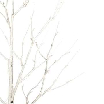 Vickerman 6' White Birch Twig Tree - Warm White 3mm Wide Angle LED Lights - Prelit Decorative Tree -...