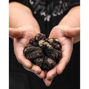 THE TRUFFLEIST Black Truffle Olive Oil, 8.5 oz