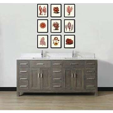 Rec Corals Wall Art Home Decor Set of 9 Prints Beautiful Coastla Marine Beach Sea Ocean Nature Anntique Illustration Decoration Large Poster Sizes Available Unframed LoveThePrint