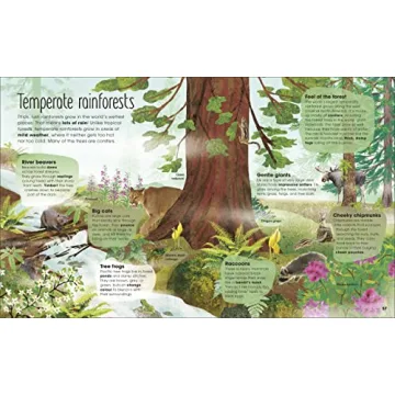 The Magic and Mystery of Trees Book for Kids