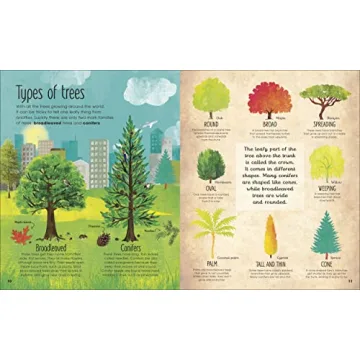 The Magic and Mystery of Trees Book for Kids