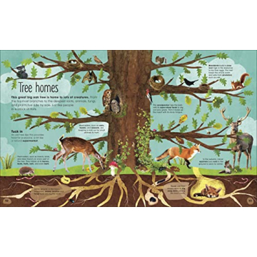 The Magic and Mystery of Trees Book for Kids
