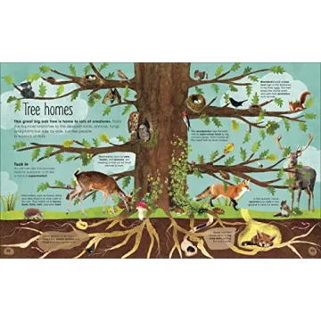 The Magic and Mystery of Trees Book for Kids