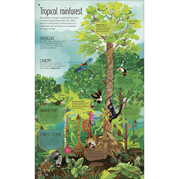 The Magic and Mystery of Trees Book for Kids