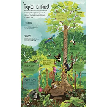 The Magic and Mystery of Trees Book for Kids