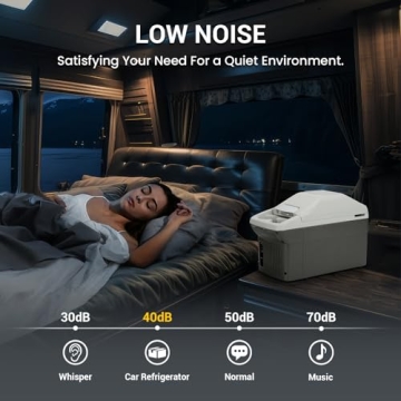 PUNEDA 12V Car Refrigerator Cooler Warmer Portable Camping Fridge