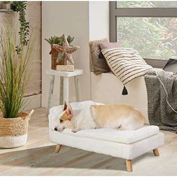 BingoPaw Elevated Pet Bed for Cats and Small Dogs