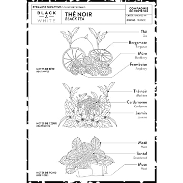 Compagnie de Provence Black Tea Liquid Soap for Sensitivity