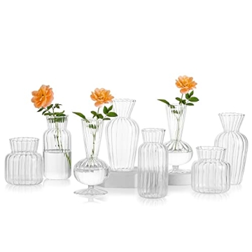 Hewory Mini Glass Vases - Elegant Table Decor Set 8pcs