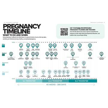 The Simplest Pregnancy Book in the World: The Illustrated, Grab-and-Do Guide for a Healthy, Happy Pregnancy and Childbirth