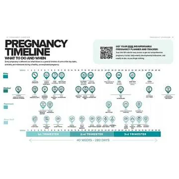 The Simplest Pregnancy Book in the World: The Illustrated, Grab-and-Do Guide for a Healthy, Happy Pregnancy and Childbirth