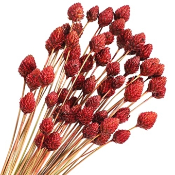 60 Pcs Red Dried Flowers - Mini Billy Ball Flowers for Home and Event Decor
