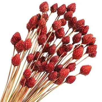 60 Pcs Red Dried Flowers - Mini Billy Ball Flowers for Home and Event Decor