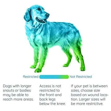 GoodBoy Recovery E-Collar for Dogs and Cats