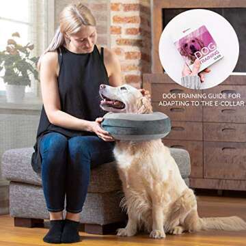 GoodBoy Recovery E-Collar for Dogs and Cats