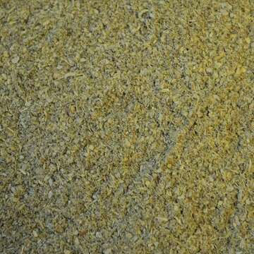 Oxbow Critical Care Herbivore - Nutritionally Complete Feeding Assist Formula for Small Animals & Pets - Critical Care Herbivore Apple-Banana (454g)