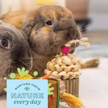 Oxbow Enriched Life Celebration Cupcake for Healthy Pets