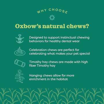 Oxbow Enriched Life Celebration Cupcake for Healthy Pets