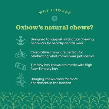 Oxbow Enriched Life Celebration Cupcake for Healthy Pets
