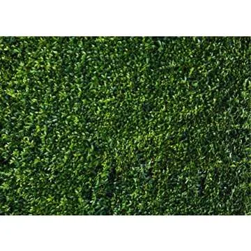 Green Leaves Photography Backdrop for Celebrations and More