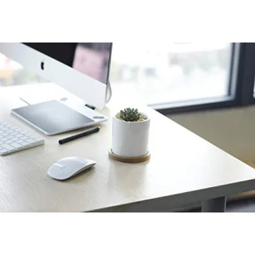 Greenaholics 3 Inch Succulent Plant Pots with Trays