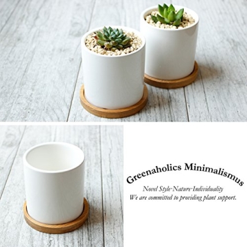 Greenaholics 3 Inch Succulent Plant Pots with Trays