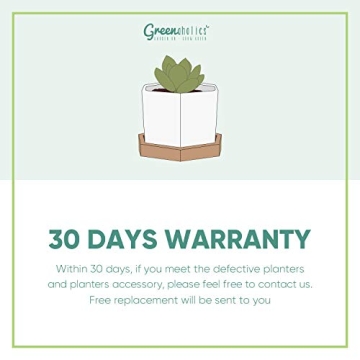 Greenaholics 3 Inch Succulent Plant Pots with Trays