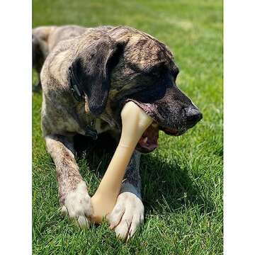 Nylabone Monster Chew Toy for Aggressive Chewers 50+ lbs