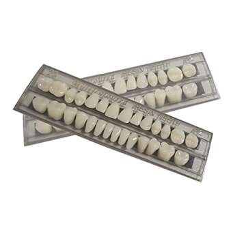 56 Pcs False Teeth Dental Complete Acrylic Resin Denture Teeth, 2 Set Whole Teeth Synthetic Polymer ...