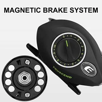 TRUSCEND Advanced Baitcasting Reel, 6.2:1, Incredible Durability, Magnetic Brakes, Ergonomic Design, 4+1 Stainless BB for Saltwater & Freshwater, Designed for The Versatile Angler