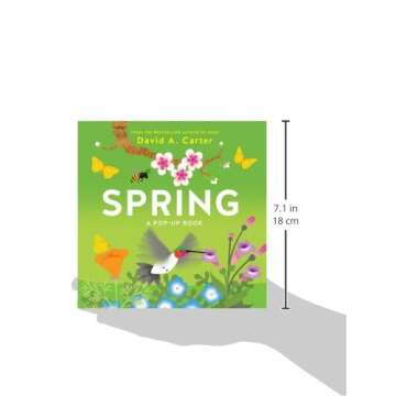 Spring: A Pop-up Book (Seasons Pop-up)