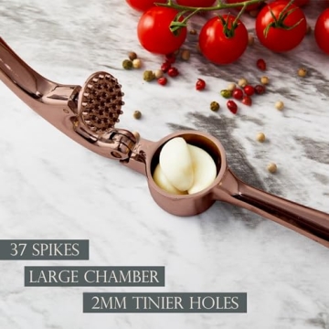 Premium Garlic Press - Effortless Mincing & Cleaning