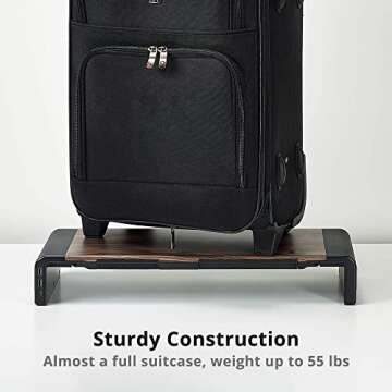 SIIG Computer Monitor and Laptop Stand Riser with USB Ports Width Adjustable on Both Sides - Support up to 55lbs (CE-MT2Q12-S1)