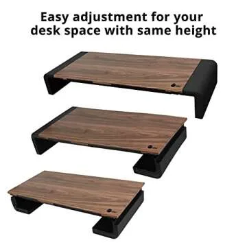 SIIG Multi-Function Monitor Stand with USB Ports