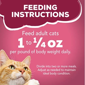 Purina Friskies Gravy Wet Cat Food Pack of 24 Cans