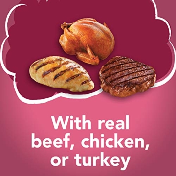 Purina Friskies Gravy Wet Cat Food Pack of 24 Cans