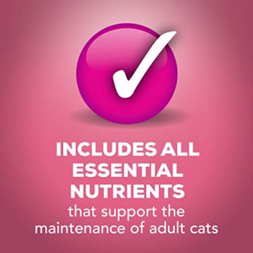 Purina Friskies Gravy Wet Cat Food Pack of 24 Cans