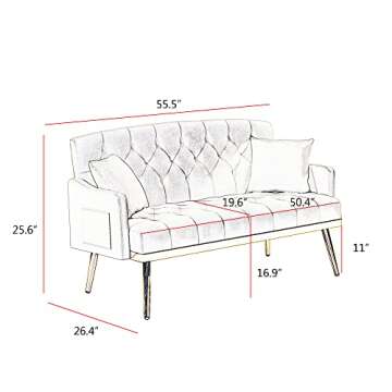 hansones 55-Inch Modern Velvet Loveseat Sofa with Gold Metal Legs & Side Pockets, Tufted Backrest, P...
