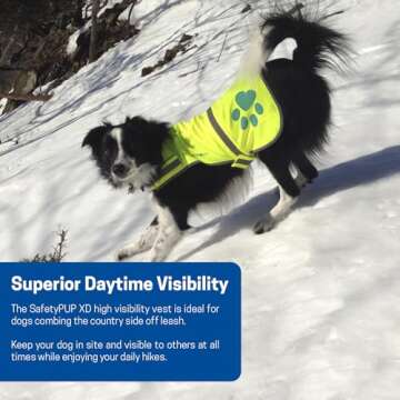SafetyPUP XD Urban Dog Reflective Vest. Our Fluorescent Hi-Visibility Dog Jacket in Multi-Colors Helps to Safeguard Your PUP in The Outdoors On and Off Leash