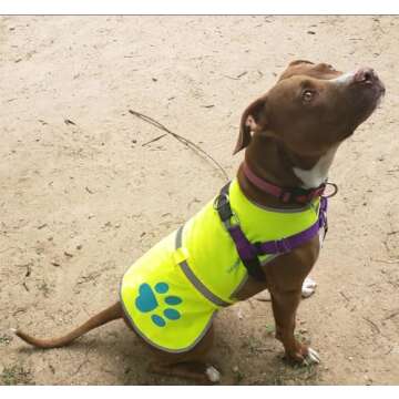 SafetyPUP XD Urban Dog Reflective Vest. Our Fluorescent Hi-Visibility Dog Jacket in Multi-Colors Helps to Safeguard Your PUP in The Outdoors On and Off Leash