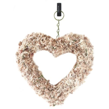 SuperMoss 11" Heart Living Wreath - No Soil Needed